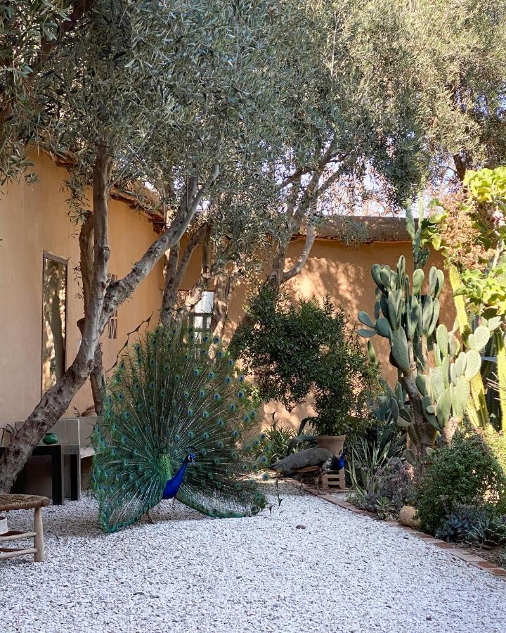 Dar Al Hossoun Hotel Taroudant Eksteriør billede